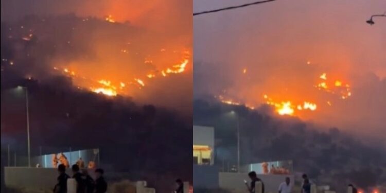 Alldaynews.gr Τρομακτικό βίντεο: Η στιγμή που η φωτιά «τυλίγει» την εθνική οδό Αθηνών – Κορίνθου (video)