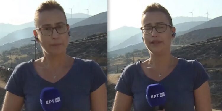 Alldaynews.gr Πτώση Canadair: Με δάκρυα στα μάτια και τρεμάμενη φωνή δημοσιογράφος της ΕΡΤ: «Με συγχωρείτε…»