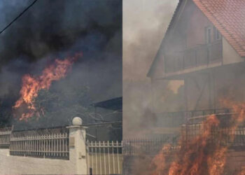 Alldaynews.gr Φωτιά στη Μάνδρα: Έφτασαν στα σπίτια οι φλόγες – Έκτακτη εντολή εκκένωσης οικισμών