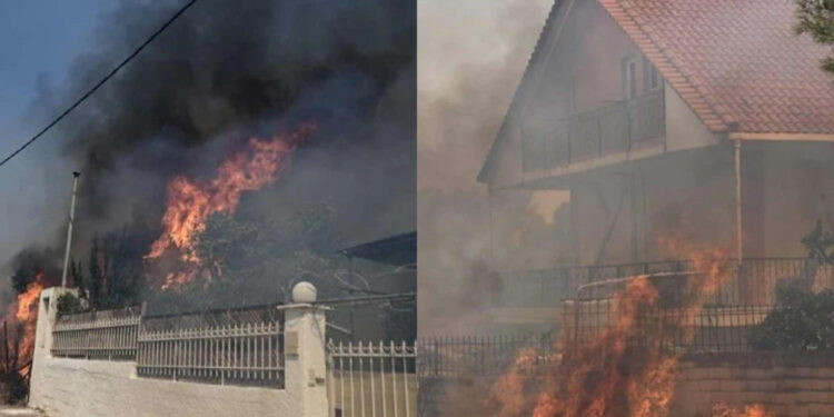 Φωτιά στη Μάνδρα: Έφτασαν στα σπίτια οι φλόγες – Έκτακτη εντολή εκκένωσης οικισμών