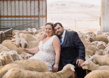 Λαρισαίοι φωτογραφήθηκαν στον γάμο τους μαζί με τις… προβατίνες τους