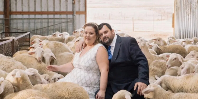 Alldaynews.gr Λαρισαίοι φωτογραφήθηκαν στον γάμο τους μαζί με τις… προβατίνες τους