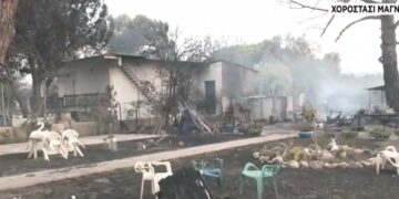 Φωτιά στον Βόλο: Σοκαριστικό βίντεο από το σημείο που απανθρακώθηκε γυναίκα – Έλιωσε το τροχόσπιτο!