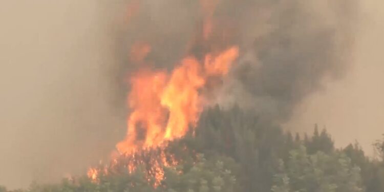 Alldaynews.gr Φωτιά στη Ρόδο – Υφυπ. Ναυτιλίας: «Η πυρκαγιά πέρασε και καίγεται το νησάκι πάνω στη λίμνη»