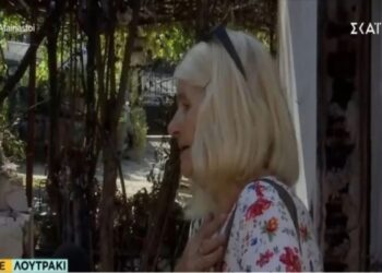 Alldaynews.gr Φωτιά στο Λουτράκι: «Έκανα κόπο να τα φτιάξω. Δεν ήθελα να φύγω, με τραβάγανε με το ζόρι. Πήραμε μόνο τα δύο μας σκυλάκια» – Συγκινεί γυναίκα μπροστά στο καμένο σπίτι της