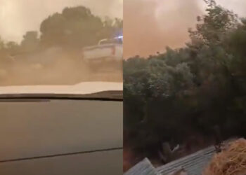 Alldaynews.gr «Πάμε, θα καούμε» – Συγκλονιστικό βίντεο από τις επιχειρήσεις εκκένωσης στη Μάνδρα