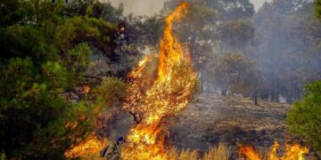 Alldaynews.gr Φωτιά στη Ρόδο: Τραυματίστηκαν αστυνομικός και πυροσβέστης σε επιχείρησης εκκένωσης
