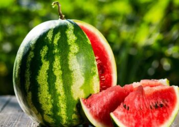 Μόλις δείτε αυτό, δεν θα ξανακόψετε το καρπούζι με άλλον τρόπο!