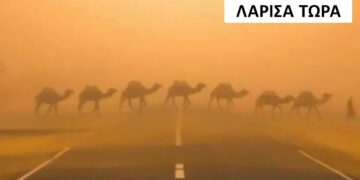 Alldaynews.gr Ο καύσωνας έγινε viral στη Λάρισα: «Έβρασε» και το Twitter… τρελάθηκε – «Μόλις είδα ένα κουνούπι με ιδρώτα»