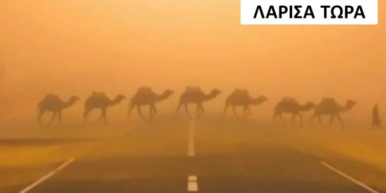 Alldaynews.gr Ο καύσωνας έγινε viral στη Λάρισα: «Έβρασε» και το Twitter… τρελάθηκε – «Μόλις είδα ένα κουνούπι με ιδρώτα»