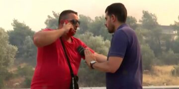 Alldaynews.gr Έλενα Ακρίτα: Η τοποθέτησή της για την επίθεση στη Λένα Κιτσοπούλου και την Επίδαυρο