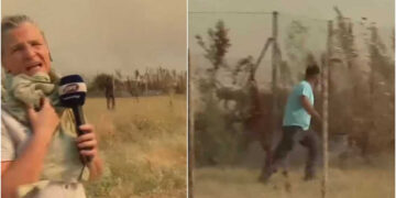 Alldaynews.gr Βίντεο – Φωτιά στο Βελεστίνο: Ο 45χρονος, λίγο πριν πεθάvει, ζητούσε βοήθεια για τα ζώα του (video)