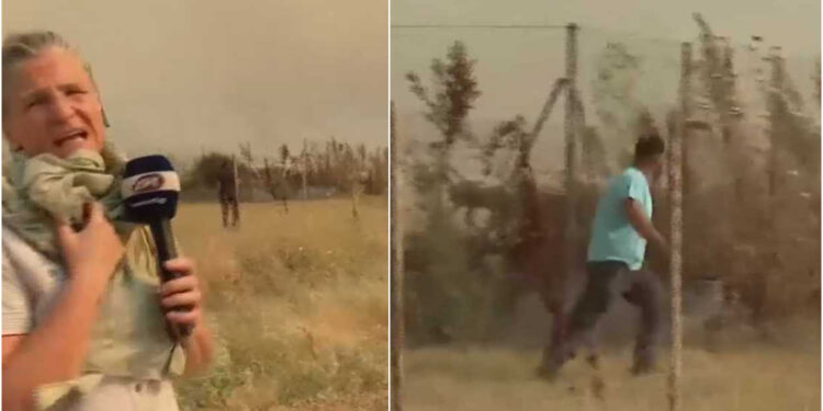 Alldaynews.gr Βίντεο – Φωτιά στο Βελεστίνο: Ο 45χρονος, λίγο πριν πεθάvει, ζητούσε βοήθεια για τα ζώα του (video)