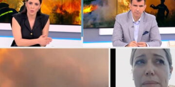 Alldaynews.gr Φωτιά στη Ρόδο: «Λύγισε» συνεργάτης του περιφερειάρχη – «Το νησί έχει καεί ολοσχερώς.Είναι οργανωμένο…»