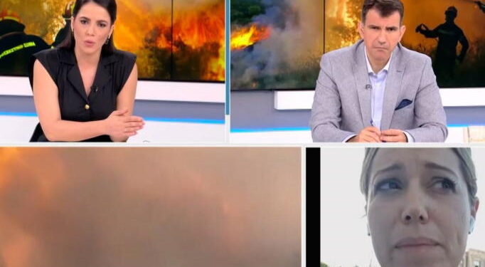 Alldaynews.gr Φωτιά στη Ρόδο: «Λύγισε» συνεργάτης του περιφερειάρχη – «Το νησί έχει καεί ολοσχερώς.Είναι οργανωμένο…»