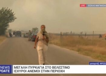 Alldaynews.gr «H φωτιά μας πλησιάζει επικίνδυνα, κλείνουμε την επικοινωνία»: Πανικός στο συνεργείο της ΕΡΤ στο Βελεστίνο (video)