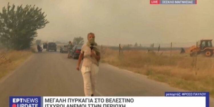 Alldaynews.gr «H φωτιά μας πλησιάζει επικίνδυνα, κλείνουμε την επικοινωνία»: Πανικός στο συνεργείο της ΕΡΤ στο Βελεστίνο (video)