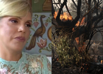 Alldaynews.gr Με λυγμούς η Σάσα Σταμάτη στη φωτιά στη Μάνδρα – “Καιγόμαστε! Δεν αντέχουμε άλλο”