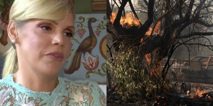 Alldaynews.gr Με λυγμούς η Σάσα Σταμάτη στη φωτιά στη Μάνδρα – “Καιγόμαστε! Δεν αντέχουμε άλλο”