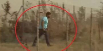 Alldaynews.gr βοσκός