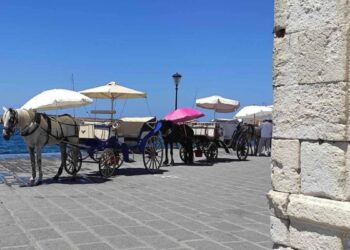 Θλιβερή εικόνα στα Χανία: Άλογα άμαξας περιμένουν τον επόμενο πελάτη εν μέσω καύσωνα