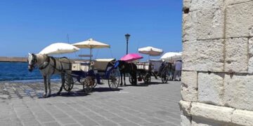 Alldaynews.gr Θλιβερή εικόνα στα Χανία: Άλογα άμαξας περιμένουν τον επόμενο πελάτη εν μέσω καύσωνα