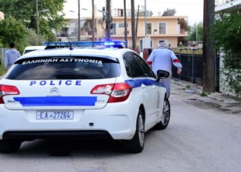 Alldaynews.gr Νέα γυναικοκτονία στην Χαλκίδα: «Δεν πέρναγα καλά μαζί της και την σκότωσα»