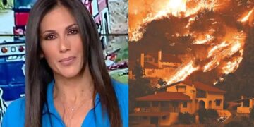 Alldaynews.gr Με 13 λέξεις έκλεισε τα στόματα των πολιτικών: Η Ανθή Βούλγαρη ξέσπασε για τις φωτιές που σαρώνουν την Ελλάδα
