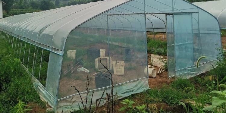 Alldaynews.gr Σκηνές αρχαίας τραγωδίας: 29χρονος κpεμάστηκε από δέντρο έξω από το θερμοκήπιό του!