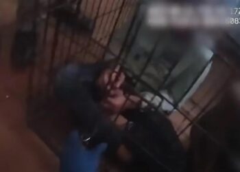 Αστυνομικοί “λυγίζουν” όταν βρίσκουν 7 παιδιά κλειδωμένα σε κλουβιά – Ήταν κακοποιημένα και υποσιτισμένα (φωτο, video)