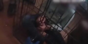 Alldaynews.gr Αστυνομικοί “λυγίζουν” όταν βρίσκουν 7 παιδιά κλειδωμένα σε κλουβιά – Ήταν κακοποιημένα και υποσιτισμένα (φωτο, video)