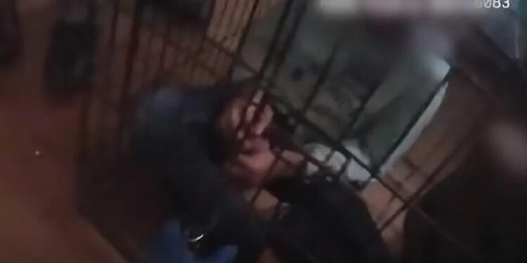 Alldaynews.gr Αστυνομικοί “λυγίζουν” όταν βρίσκουν 7 παιδιά κλειδωμένα σε κλουβιά – Ήταν κακοποιημένα και υποσιτισμένα (φωτο, video)