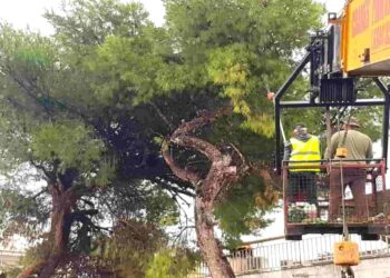 Εργαζόμενος του ΑΔΜΗΕ «κεραυνοβολήθηκε» στην προσπάθεια του να κόψει δένδρα