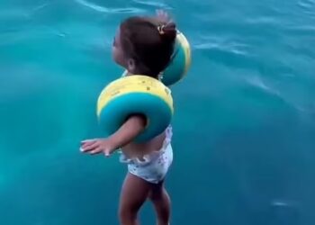 Πριν Λίγο! Συνετρίβη Canadair στην Κάρυστο! Αγωνία για τους πιλότους-Δείτε το Σοκαριστικό Βίντεο