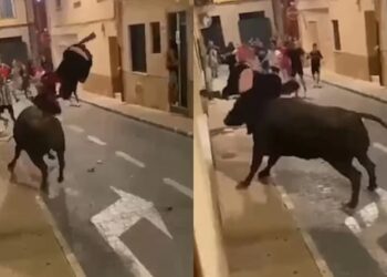 Alldaynews.gr Αναζητείται ο «νταής»: Πλάκωσε στο ξύλο παιδάκια που έκαναν ποδήλατο