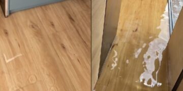 Alldaynews.gr Ιδιοκτήτης Airbnb εξοργίστηκε με τύπο που νοίκιασε το σπίτι: Του άφησε όλες τις βρύσες ανοιχτές και έφυγε (video)