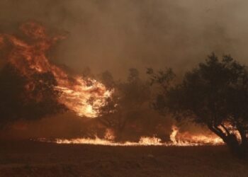 Πληροφορίες ότι βρέθηκαν και άλλοι απανθρακωμένοι στη Λευκίμμη – Τραγωδία δίχως τέλος στον Έβρο