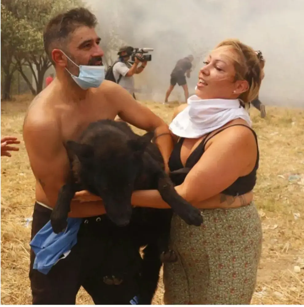 Μπαλάσκας Πάρνηθα 