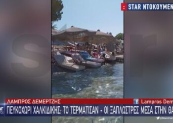 «Το τερμάτισαν» στη Χαλκιδική: Ξαπλώστρες μέσα στη θάλασσα![video]