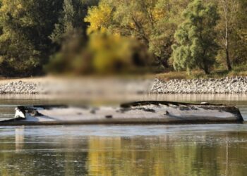 Μυστήριο με νεκρό αγόρι που βρέθηκε τυλιγμένο σε αλουμινόχαρτο στον Δούναβη[video]