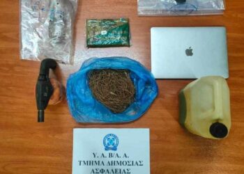 Alldaynews.gr Πρώην δικηγόρος με ψυχολογικά προβλήματα ο 45χρονος που συνελήφθη για εμπρησμούς