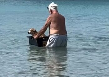 Viral ο ηλικιωμένος που κάνει… βαρκάδα τον σκυλάκι του[video]