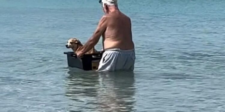 Viral ο ηλικιωμένος που κάνει… βαρκάδα τον σκυλάκι του[video]