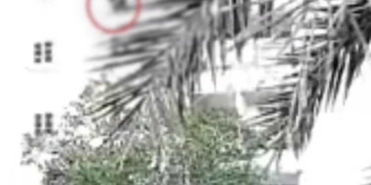 Σοκαριστικές Εικόνες: Η στιγμή που η 32χρονη γυναίκα κρέμeται από τον 7ο όροφο ξενοδοχείου και πέφτει στο κeνό[video]