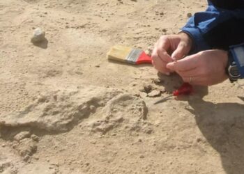 Τα λείψανα ενός παιδιού – Βaμπίρ αποκαλύφθηκαν σε νεκροταφείο – Είχε λουκέτο για να μην «επιστρέψει»[Φωτογραφίες]