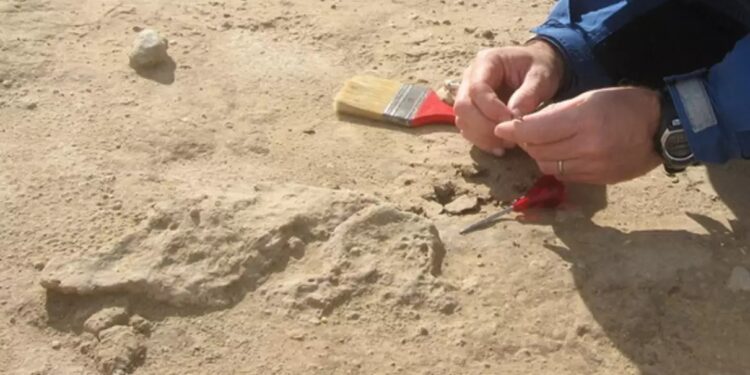 Τα λείψανα ενός παιδιού – Βaμπίρ αποκαλύφθηκαν σε νεκροταφείο – Είχε λουκέτο για να μην «επιστρέψει»[Φωτογραφίες]