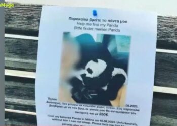 Πήλιο: Αμοιβή 250 ευρώ σε όποιον βρει αυτό το λούτρινο πάντα που έχασε παιδί-”Δεν μπορεί να κοιμηθεί χωρίς αυτό”[video]
