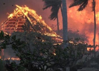 Χαβάη: Στους 53 αυξήθηκαν οι νεκροί, στάχτες ολόκληρες γειτονιές στη Λαχάινα[video]