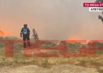 Αλεξανδρούπολη – Στιγμές τρόμου για το συνεργείο του MEGA με τις συνεχείς εκρήξεις: «Απομακρυνθείτε»