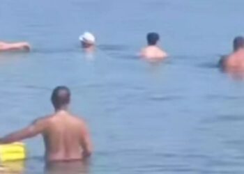 Θεσσαλονίκη: «Πάγωσαν» όταν είδαν το τεράστιο ψάρι που κολυμπούσε κοντά τους[video]